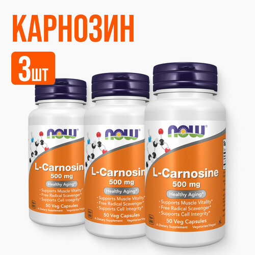 ������ ������ NOW L-�������� 50 ������, 3 �������� ����