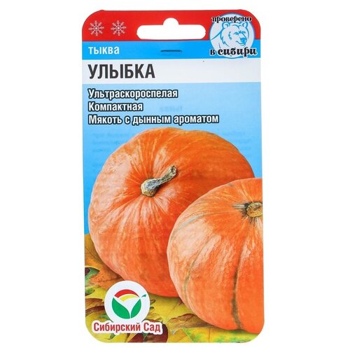 ������ ������ ������ ��������� ��� ����� ������ 5 ��. ����