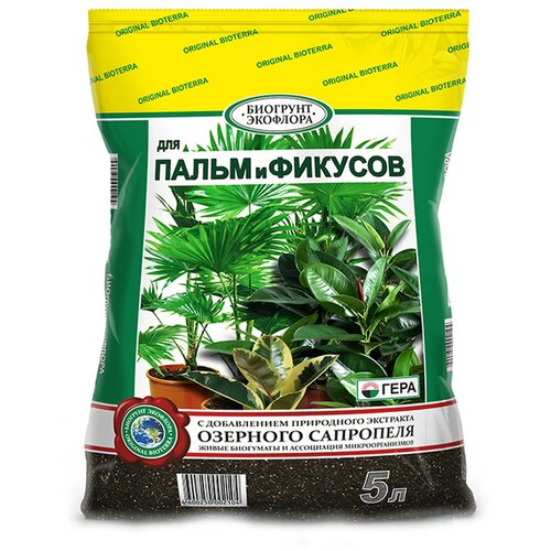 ������ ������ �������� ���� ��� ����� � �������, 5 �, 1.3 �� ����