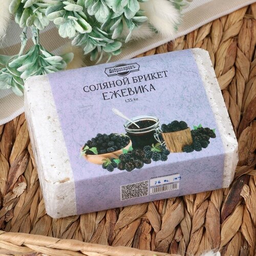 ������ ������ ������� ������ 