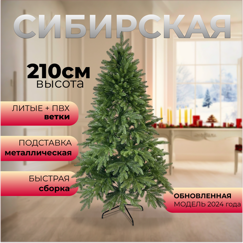 ������ ������ ���� ������������� ���������� ����