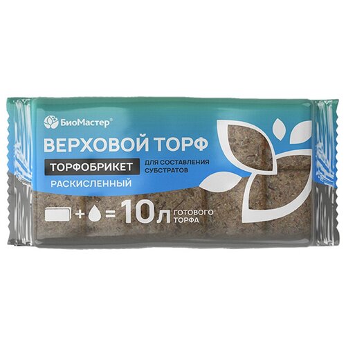 ������ ������ ����������� ���� �������� ������������, ���������, 2�� �� 10�. ����