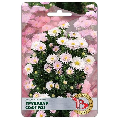 ������ ������ ������ ����� ��������� 