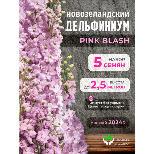 ������ ������ ������ ��������������� ����������� 5 �� ���� ���� ����