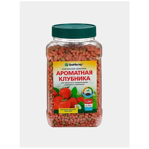 ������ ������ ��������� ��������� ��������� ��������, 1 �, 1200 �, 1 ��. ����