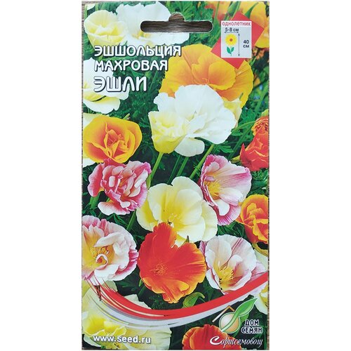 ������ ������ ��������� �������� ����, 70 ����� ����