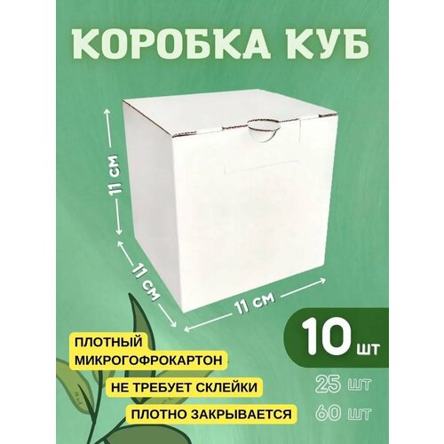 ������ ������ ���������� ������� ��� 11�11�11 �� - 10 �� ����