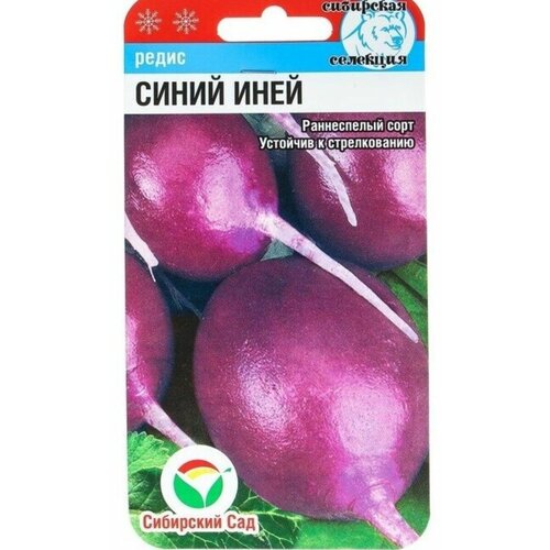 ������ ������ ��������� ��� ������ ����� ����� ����, 2 � ����