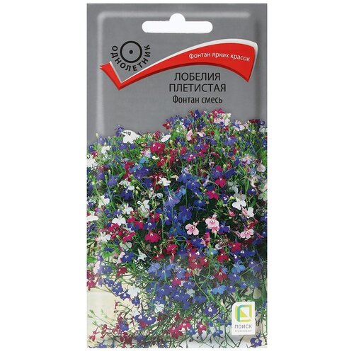 ������ ������ ������ ����� ������� ��������� ������ ����� 0.1 � ����