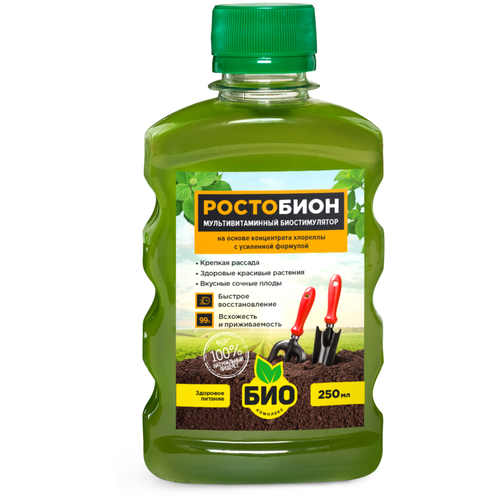 ������ ������ ��������� ���-�������� ���������, 0.25 �, 260 �, 1 ��. ����