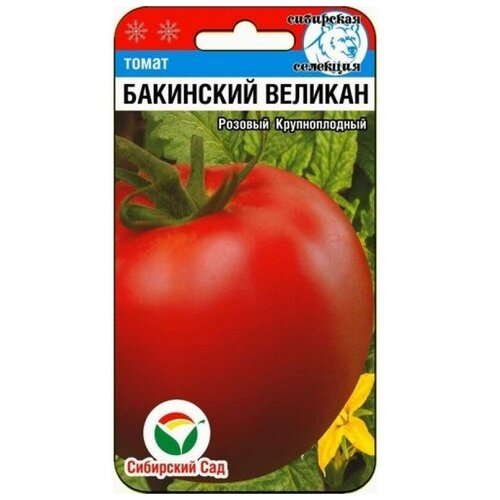 ������ ������ ��������� ������� 20�� ����� (��� ���) ����