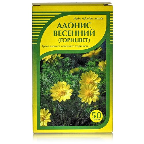 ������ ������ ����� ����� ������ ��������, 50 � ����