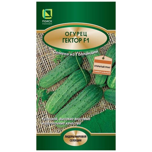 ������ ������ ����� ������ ������ F1 10 �� ����