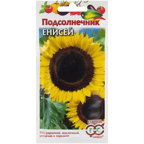 ������ ������ ������ ������������ 