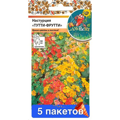 ������ ������ ��������� �����-������ �� ����� 5 ������� ����