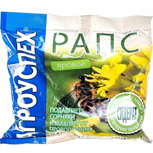 ������ ������ ������ ��������� ���� ������, 0.5 ��, 0.5 �� ����