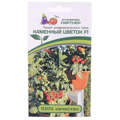 ������ ������ ������ ����� ����� 