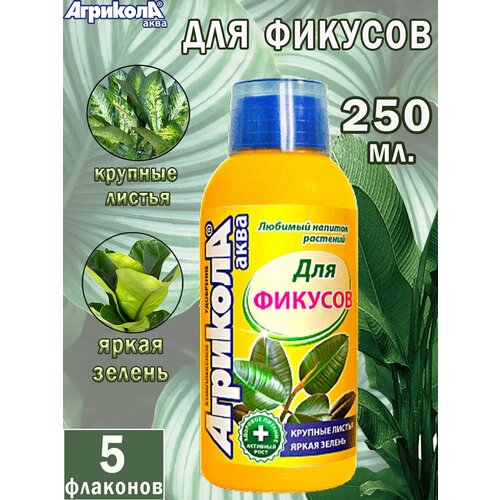 ������ ������ ��������� �������� ���� ��� ������� 250 ��. ����