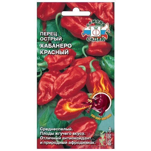 ������ ������ ������ ����� ������� 