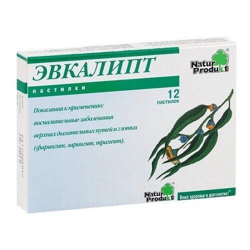 ������ ������ �������� ����� ������� ��������, 12 ��. ����