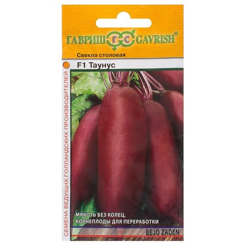 ������ ������ ������. ������ 