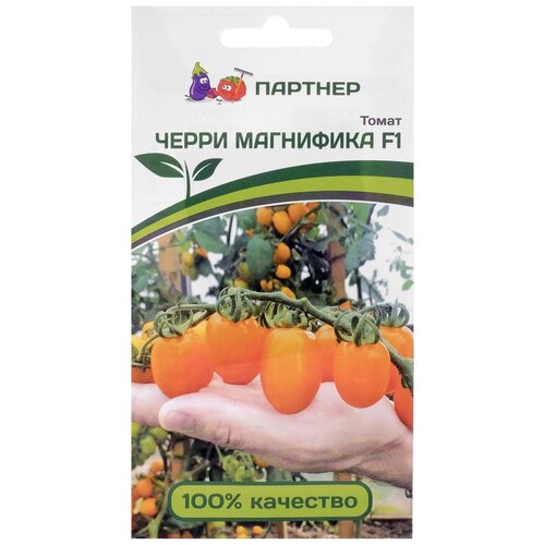 ������ ������ ������� ����� ����� 