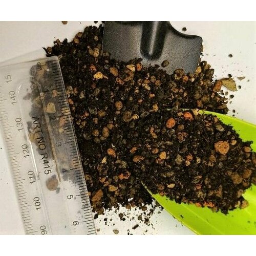 ������ ������ �������� 