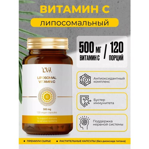 ������ ������ ������������� ������� � 120 ������ ��� �������� ������ ����