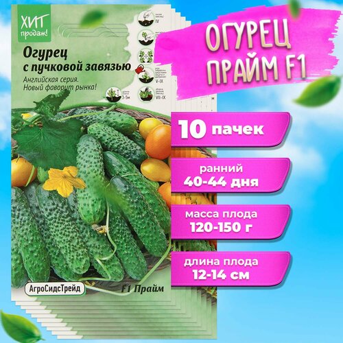 ������ ������ ����� ����� ������ ����� F1 5 �� ��� - 10 ��. ����