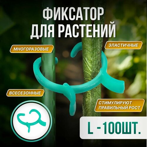 ������ ������ ������-�������� ��� ��������, ������ L (3,4�3,2��), 100 ���� ����