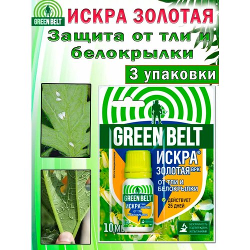 ������ ������ ����� ������� �� ��� � ���������� 10 �� ����