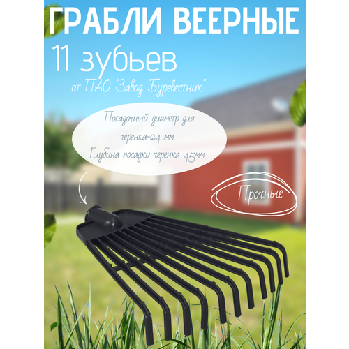 ������ ������ ������ ������� (11 ������) ����