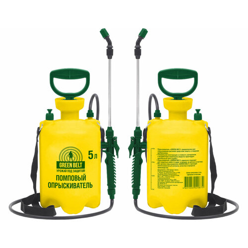 ������ ������ �������� ������������� 5� ����