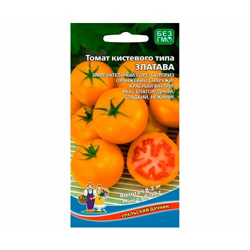 ������ ������ ������ ����� ������� ��������� ���� 12�� ����� (��������� ������) ����