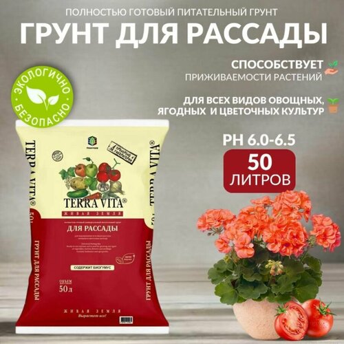 ������ ������ �����, ����� ����������� ��� ������� Terra Vita, 50 � ����