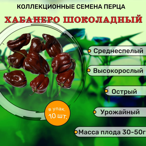 ������ ������ ������������� ������ ����� ������� �������� ���������� ����