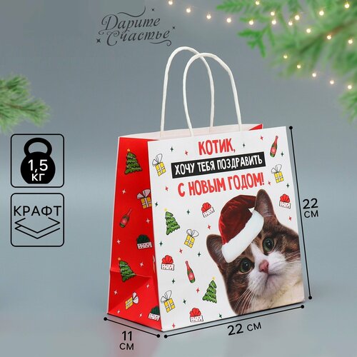 ������ ������ ����� ���������� ������, 22 � 22 � 11 ��, ����� ��� ����