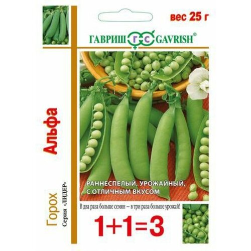 ������ ������ ������ ����� ����� ��������� 25� ������ (������) 1+1 ����