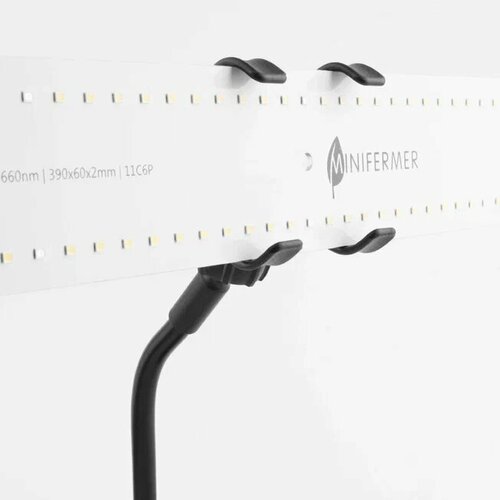 ������ ������ ��������-��������� �� ������ ��� �������� � ���������, 3 ����� � �������� ����