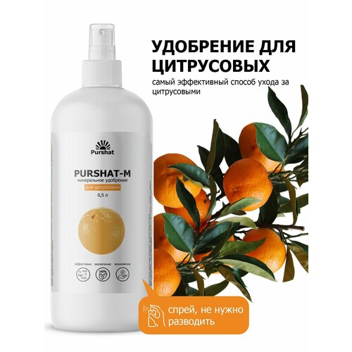 ������ ������ ��������� ��� ���������� (�����, ��������, ������� � ������) ������ ����� 500 �� ����