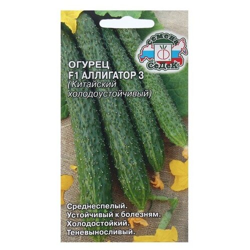 ������ ������ ������ ����� ������ ��������� 3 F1 (��������� ���������������) ����