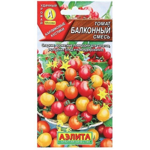 ������ ������ ������ ����� ��������� ����� 20�� ��� ������ (������) ����