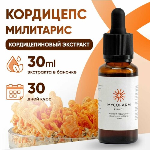 ������ ������ ������ �������� ��������� ���������, 30 �� (Cordyceps militaris) ����
