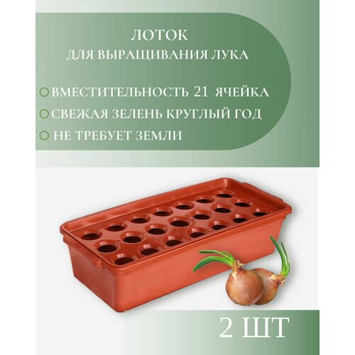 ������ ������ ����� ��� ����������� ����, 21 ������ ����