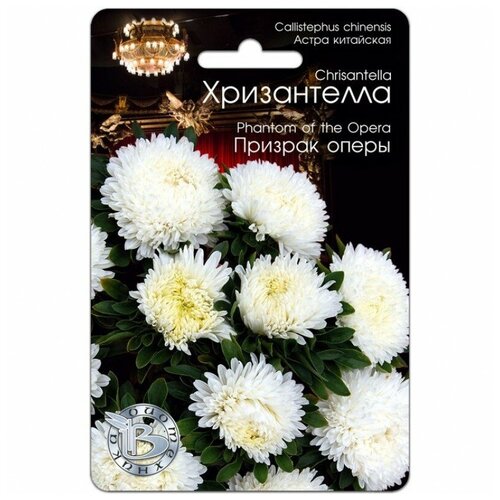 ������ ������ ������ ����� ����������� 