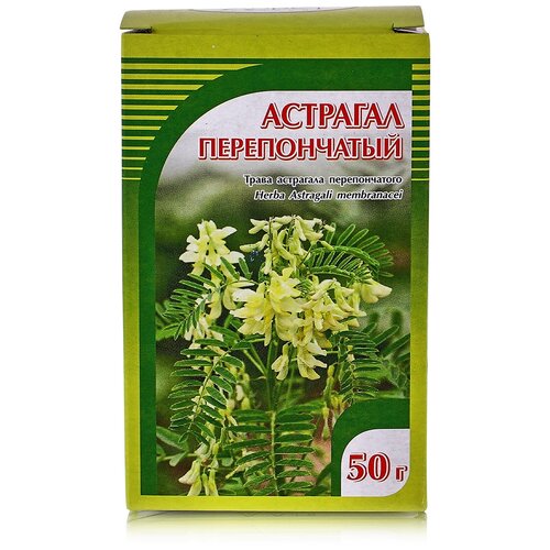 ������ ������ ����� ����� �������� ������������, 50 � ����