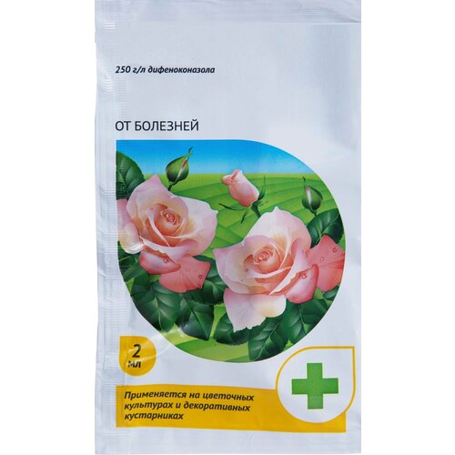 ������ ������ �������� �� �������� ��� � ������ ��������� �������, ������ 2 ��. ����������� �������� ��� ������ � ������������� ��������� ����, ����� ����� � ������ ����������� ����