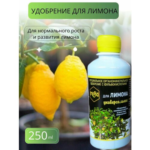 ������ ������ ���� ��� ������ 0,25 � ����