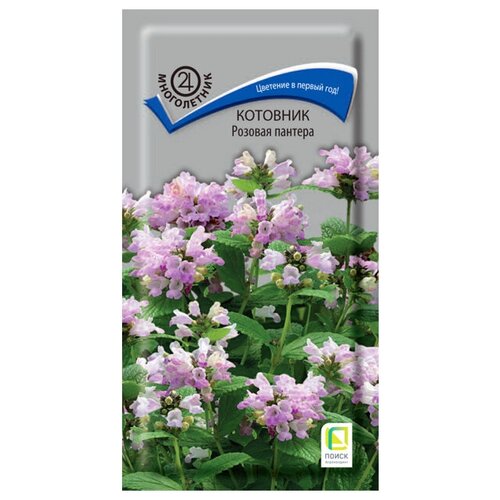 ������ ������ ������ ������ �������� ������� ������� (10 ��.) ����