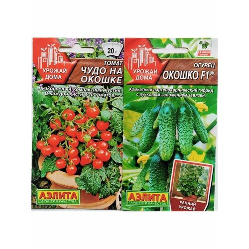 ������ ������ ����� ���� �� ������ � ������ ������ ����